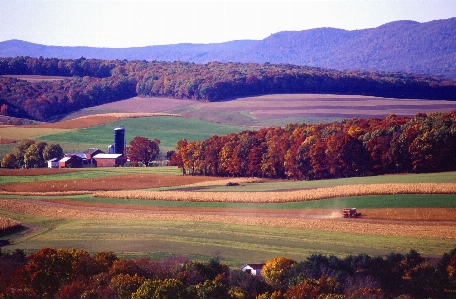 Landscape nature forest wilderness Photo