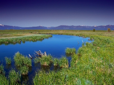 Landscape water nature grass Photo