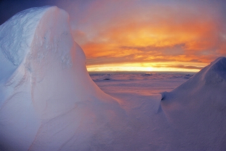 Landscape sea ocean snow Photo