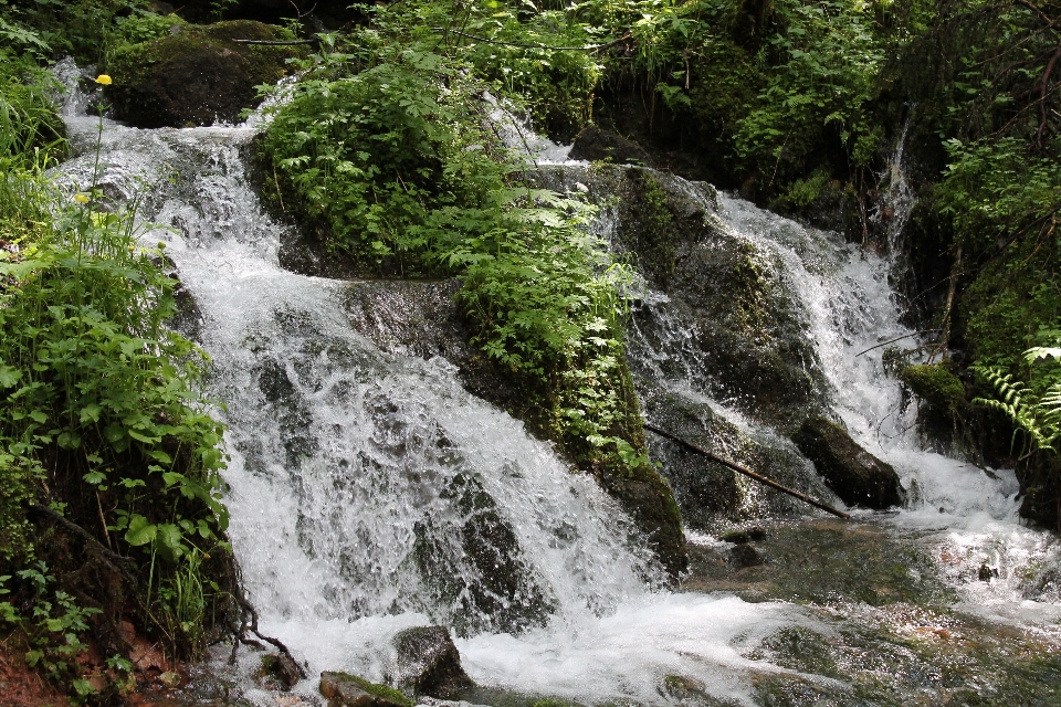 Acqua natura cascata fiume