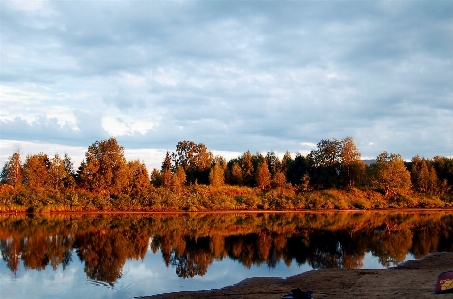 Landscape tree water nature Photo