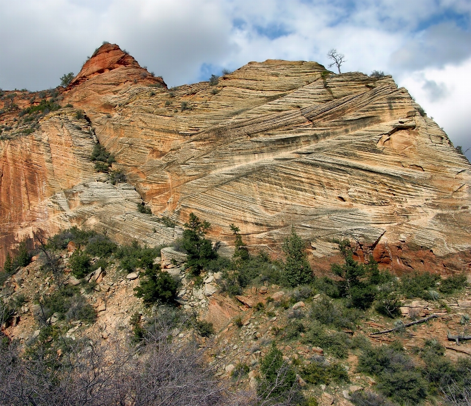 Lanskap alam rock gurun
