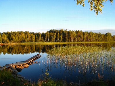 Landscape tree water nature Photo