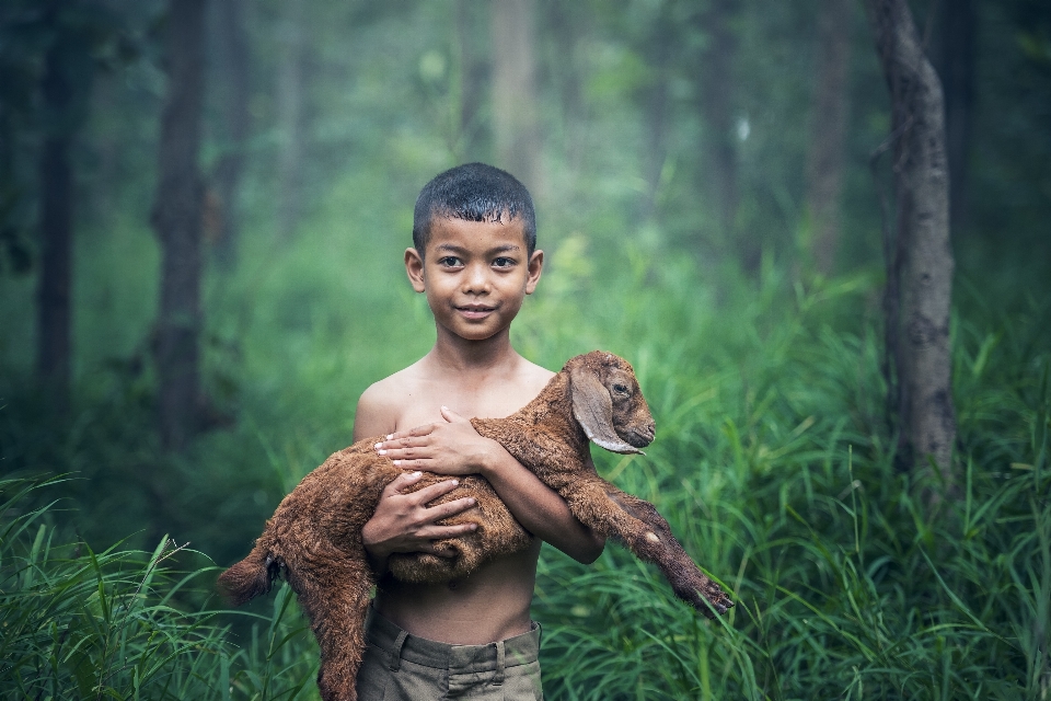 Nature forest outdoor people