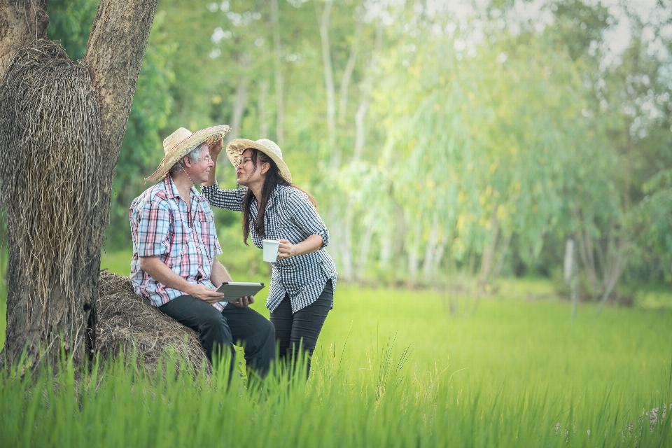 Nature grass outdoor people