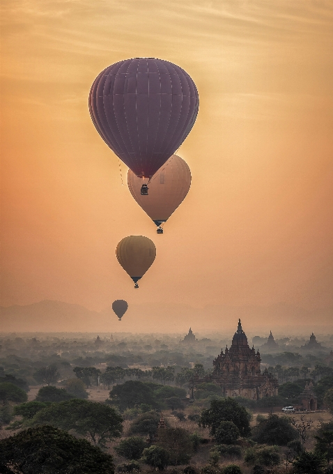 Silhouette wing architecture fog