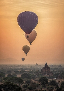 Silhouette wing architecture fog Photo