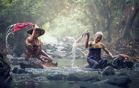 Water forest outdoor rock Photo