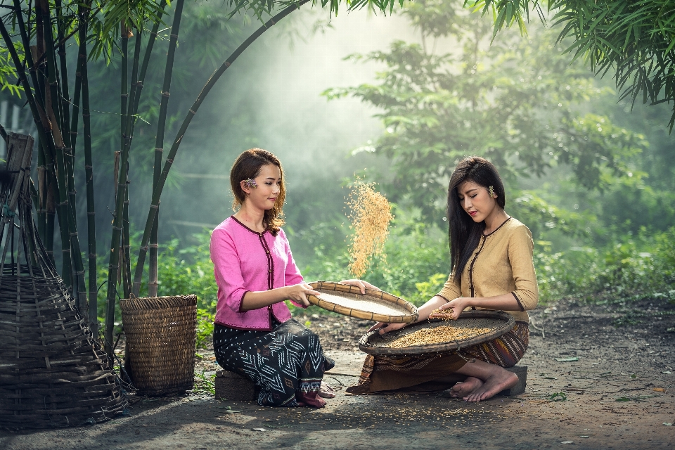 Alam hutan rakyat gadis