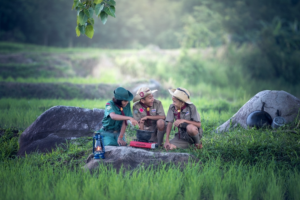 Pohon alam rumput luar ruangan