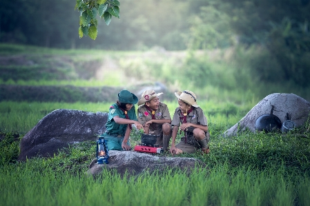 Tree nature grass outdoor Photo