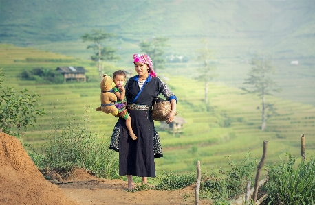 People plant farm countryside Photo