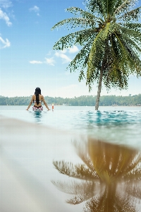 Beach sea tree water Photo