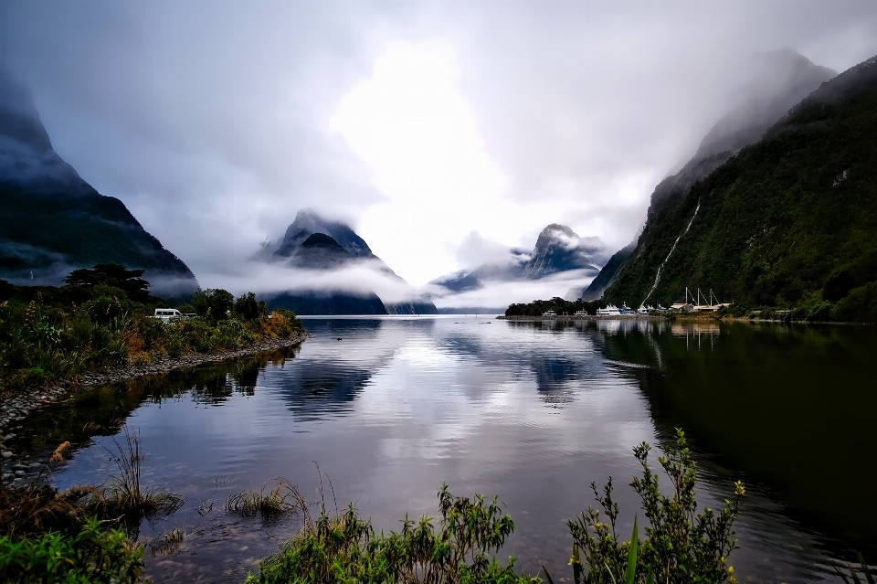 Landscape water nature forest