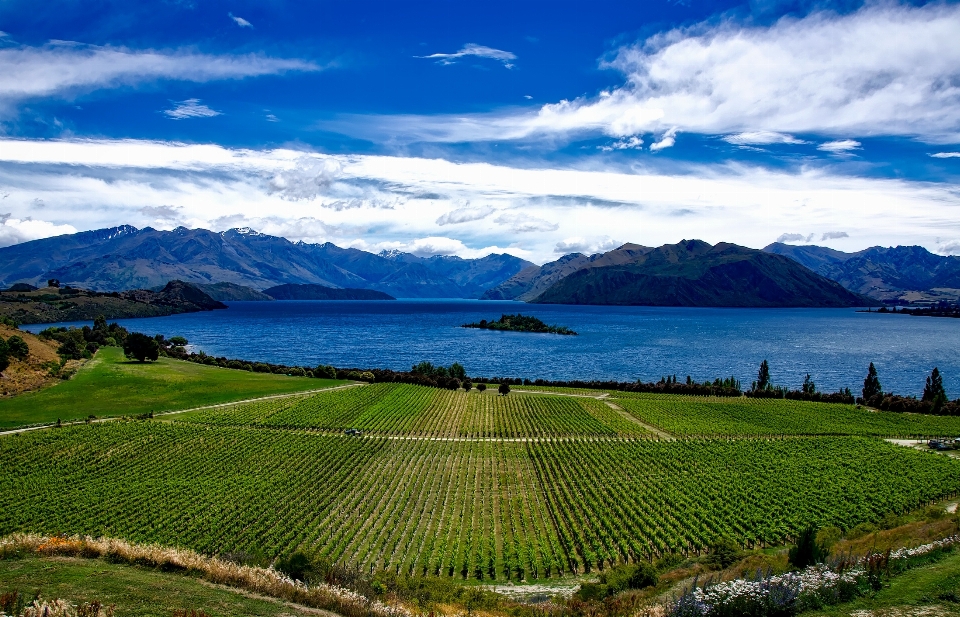 Paysage eau nature horizon