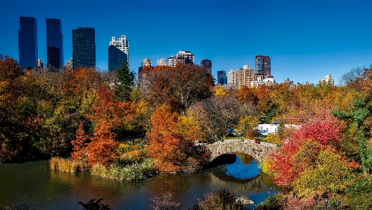 Landscape tree water skyline Photo