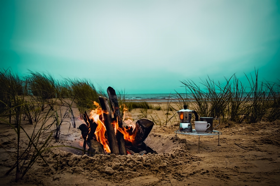 Beach landscape sea nature