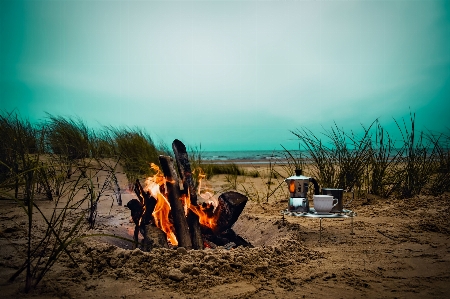 ビーチ 風景 海 自然 写真