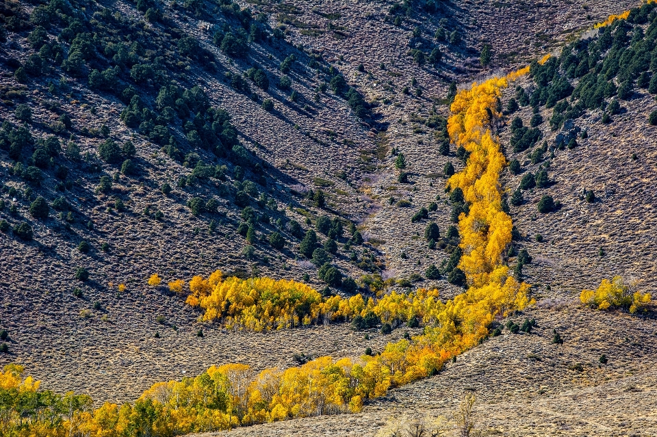 Manzara doğa orman rock