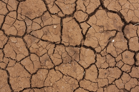 Nature outdoor sand photography Photo