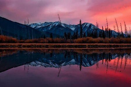 風景 水 自然 森 写真