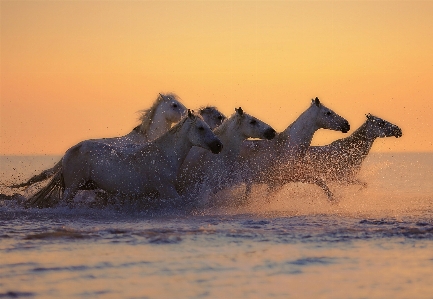 Landscape sea water sand Photo