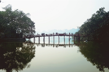 Foto Pohon air menjembatani pagi