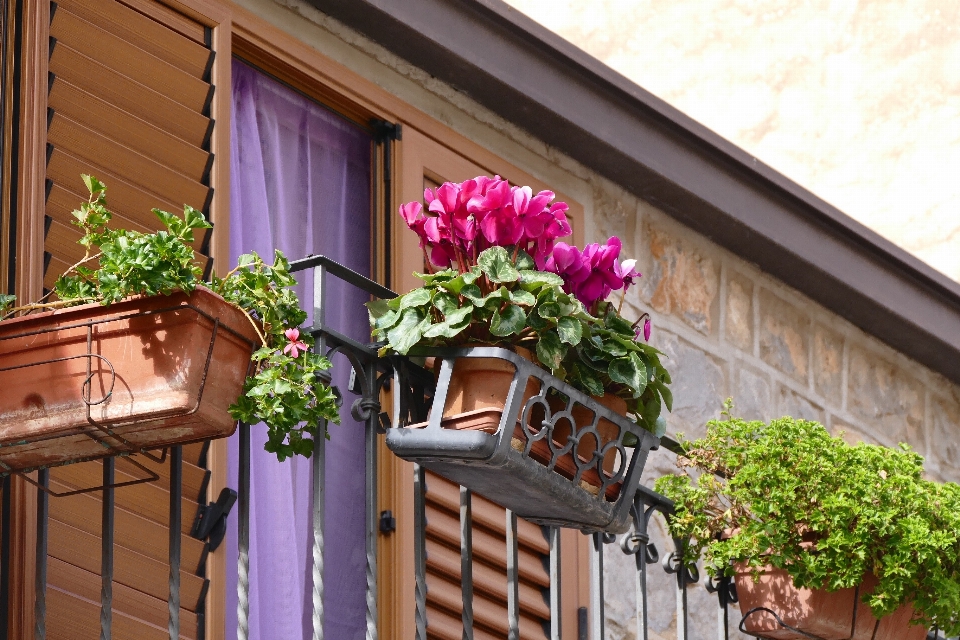 House flower window home