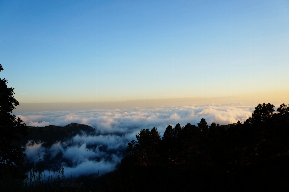 Paysage nature horizon montagne