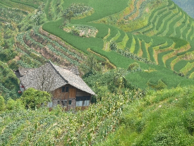 Landscape field farm meadow Photo