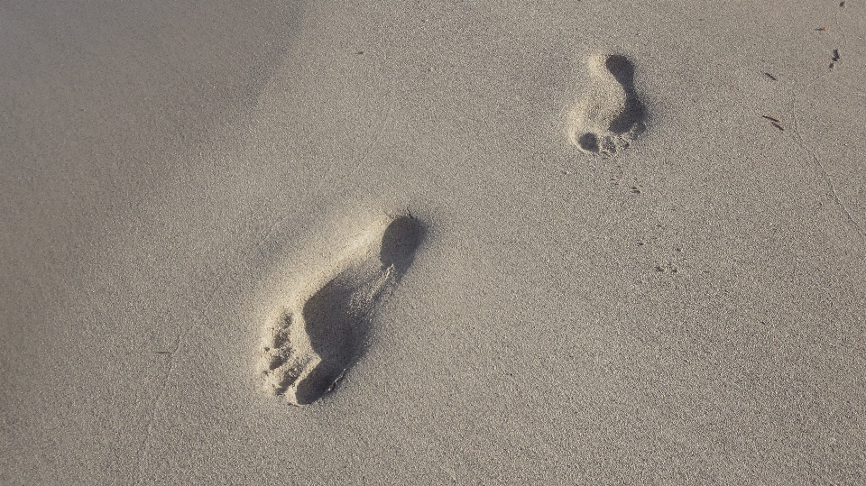 Tangan pantai pesisir pasir