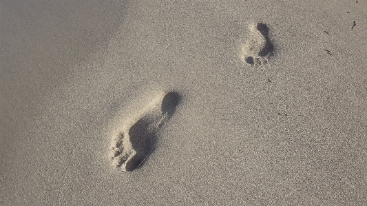 Hand beach coast sand Photo