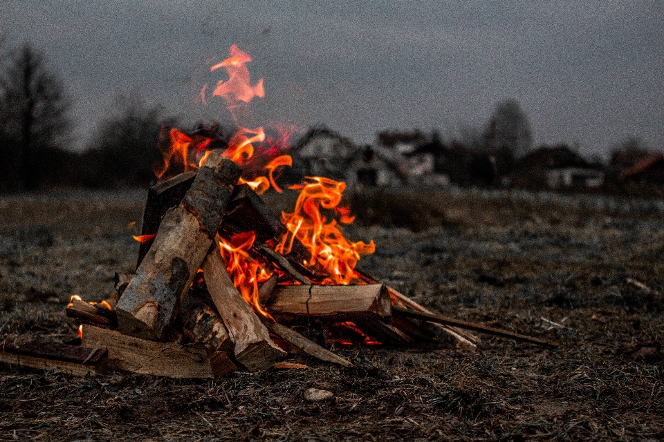 Fire soil campfire bonfire