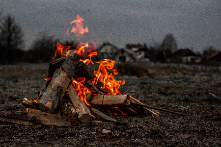 Fire soil campfire bonfire Photo