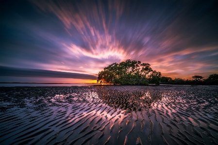 Landscape sea tree water Photo