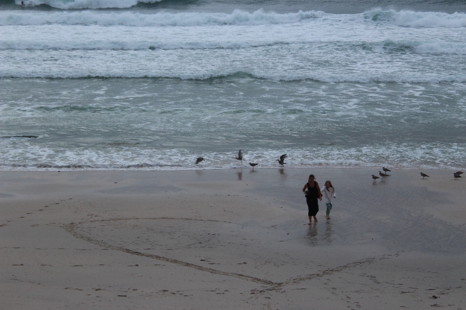 Strand meer küste wasser