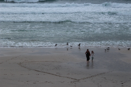 Beach sea coast water Photo