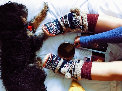 Hand book warm tea Photo