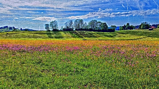 Landscape nature grass horizon Photo