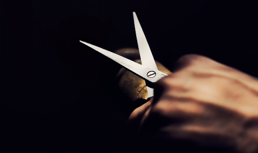 Hand wing tool finger Photo