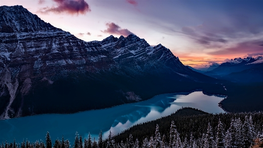 風景 水 自然 森 写真