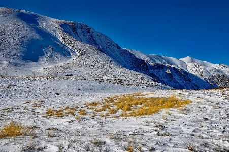 Foto Paesaggio natura selvaggia
 montagna