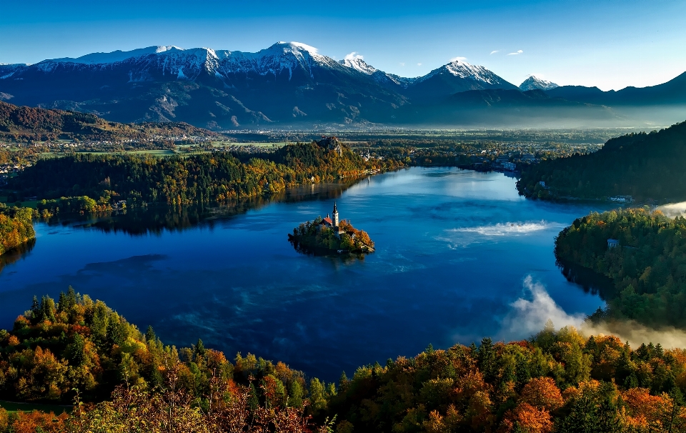 Paesaggio albero acqua natura