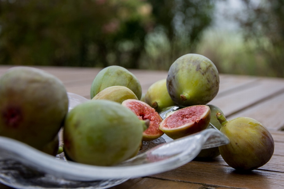 Apple table plant fruit