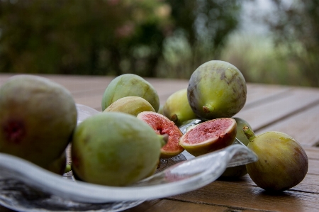 Apple table plant fruit Photo