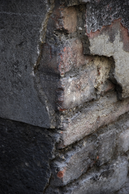 Rock madera textura muro