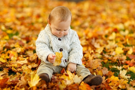 Person people play leaf Photo