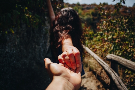 Hand woman photography flower Photo