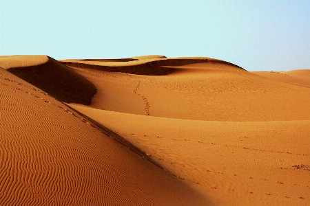 Landscape sand desert dune Photo