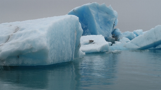 Photo Eau froid hiver blanc